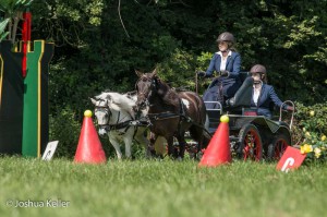 dressuur en vaardigheid  nienoord 10-8-2015  joshua keller-0180     